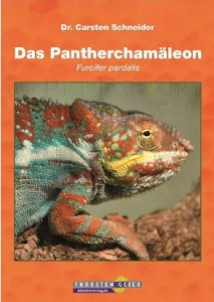 Das Pantherchamäleon - Furcifer pardalis